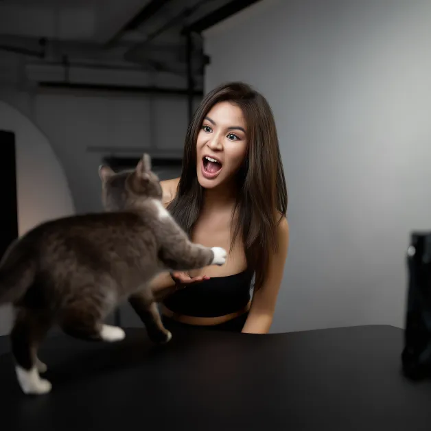 ทะเลาะกับแมว