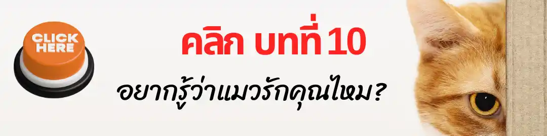 บทที่ 10 อยากรู้ว่าแมวรักคุณไหม บทที่ 10 อยากรู้ว่าแมวรักคุณไหม