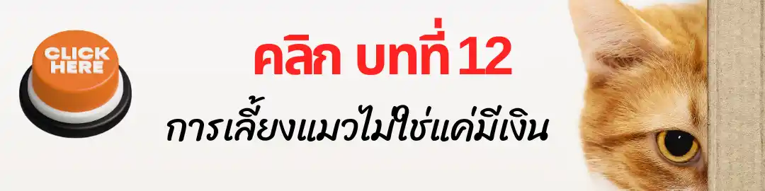 บทที่ 12 การเลี้ยงแมวไม่ใช่แค่มีเงิน บทที่ 12 การเลี้ยงแมวไม่ใช่แค่มีเงิน