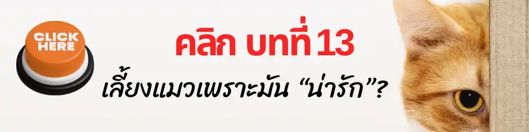 บทที่ 13 เลี้ยงแมวเพราะมัน “น่ารัก” บทที่ 13 เลี้ยงแมวเพราะมัน “น่ารัก”