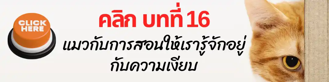บทที่ 16 แมวกับการสอนให้เรารู้จักอยู่กับความเงียบ บทที่ 16 แมวกับการสอนให้เรารู้จักอยู่กับความเงียบ