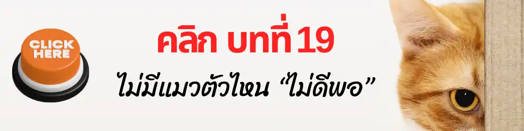 บทที่ 19 ไม่มีแมวตัวไหน “ไม่ดีพอ” บทที่ 19 ไม่มีแมวตัวไหน “ไม่ดีพอ”