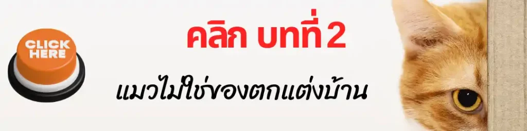บทที่ 2 แมวไม่ใช่ของแต่งบ้าน