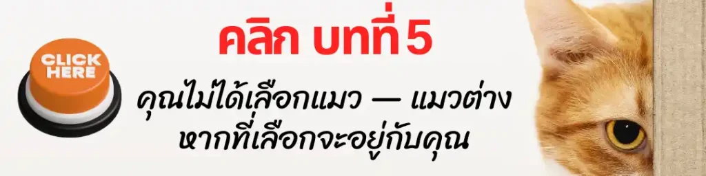 บทที่ 5 คุณไม่ได้เลือกแมว