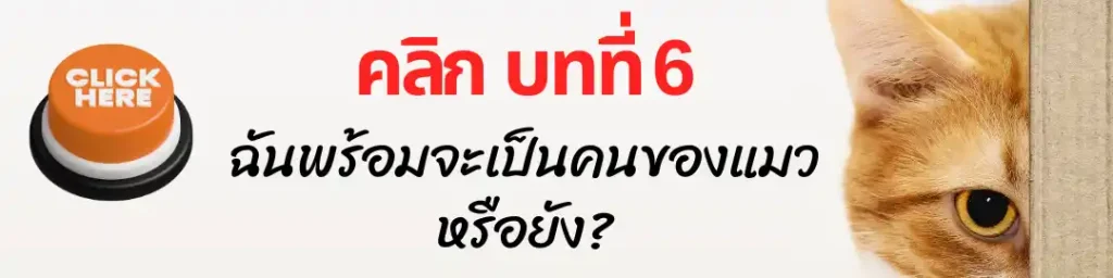 บทที่ 6 ฉันพร้อมจะเป็นคนของแมวหรือยัง