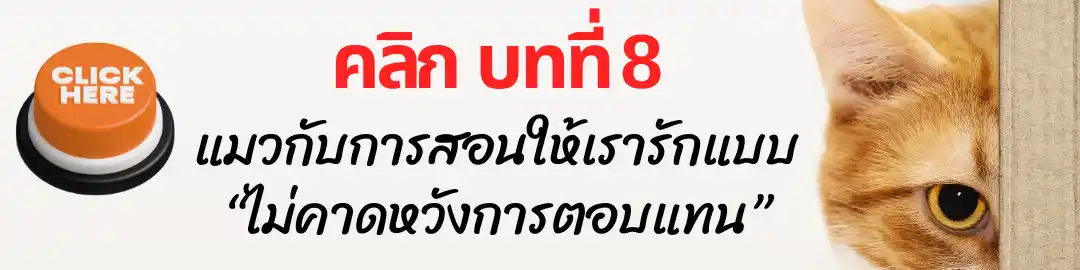บทที่ 8 แมวกับการสอนให้เรารักแบบ “ไม่คาดหวังการตอบแทน” บทที่ 8 แมวกับการสอนให้เรารักแบบ “ไม่คาดหวังการตอบแทน”